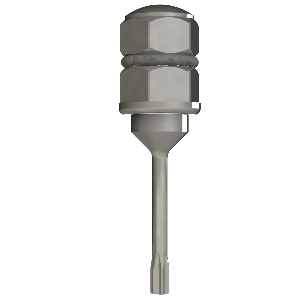 Eindrehinstrument für Ratsche (Instrument)