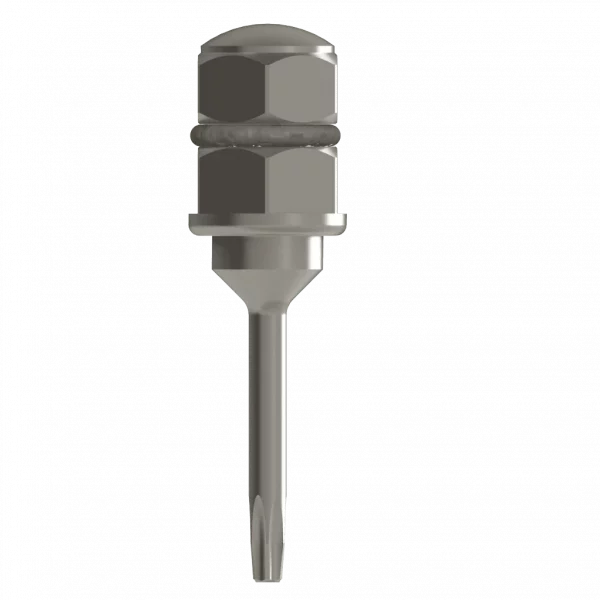 Eindrehinstrument für Ratsche (Instrument) – Bild 5