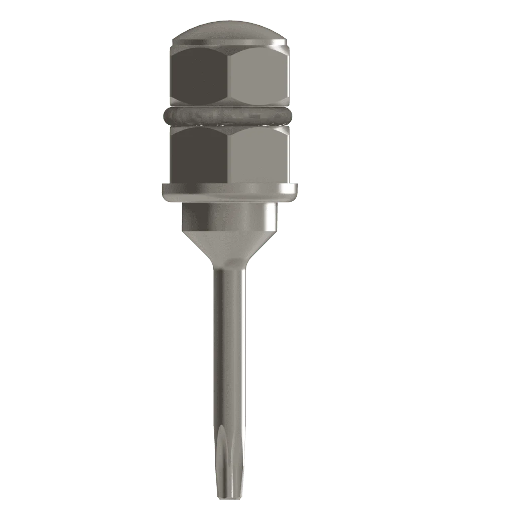 Eindrehinstrument für Ratsche (Instrument)