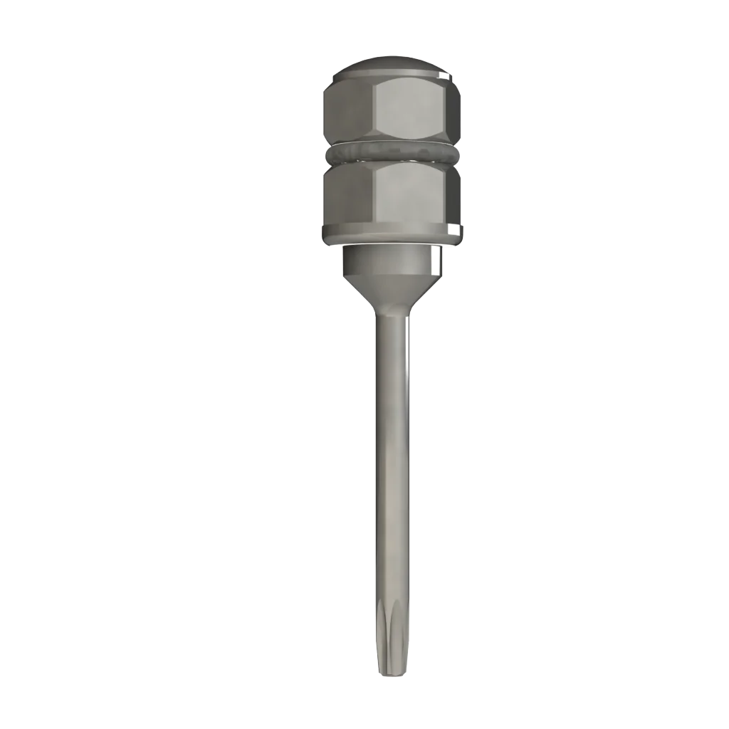 Eindrehinstrument für Ratsche (Instrument)