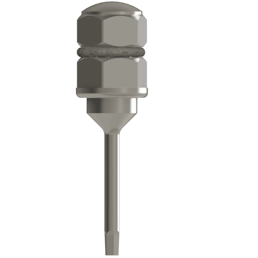 Eindrehinstrument für Ratsche (Instrument)