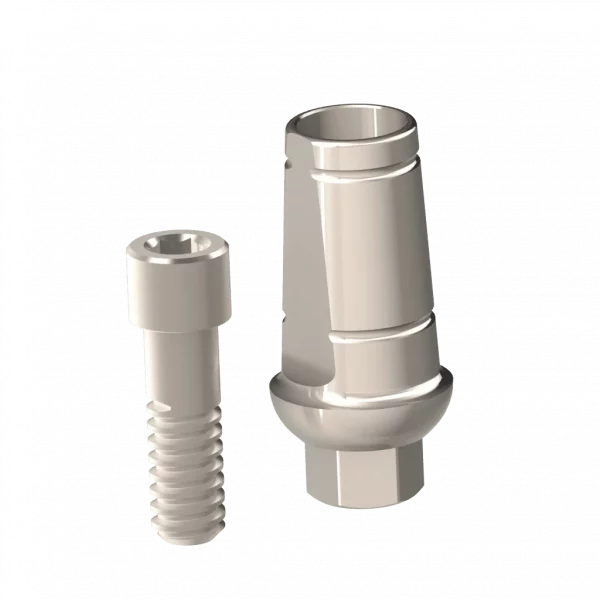 Abutment (ZMB) - Image 1