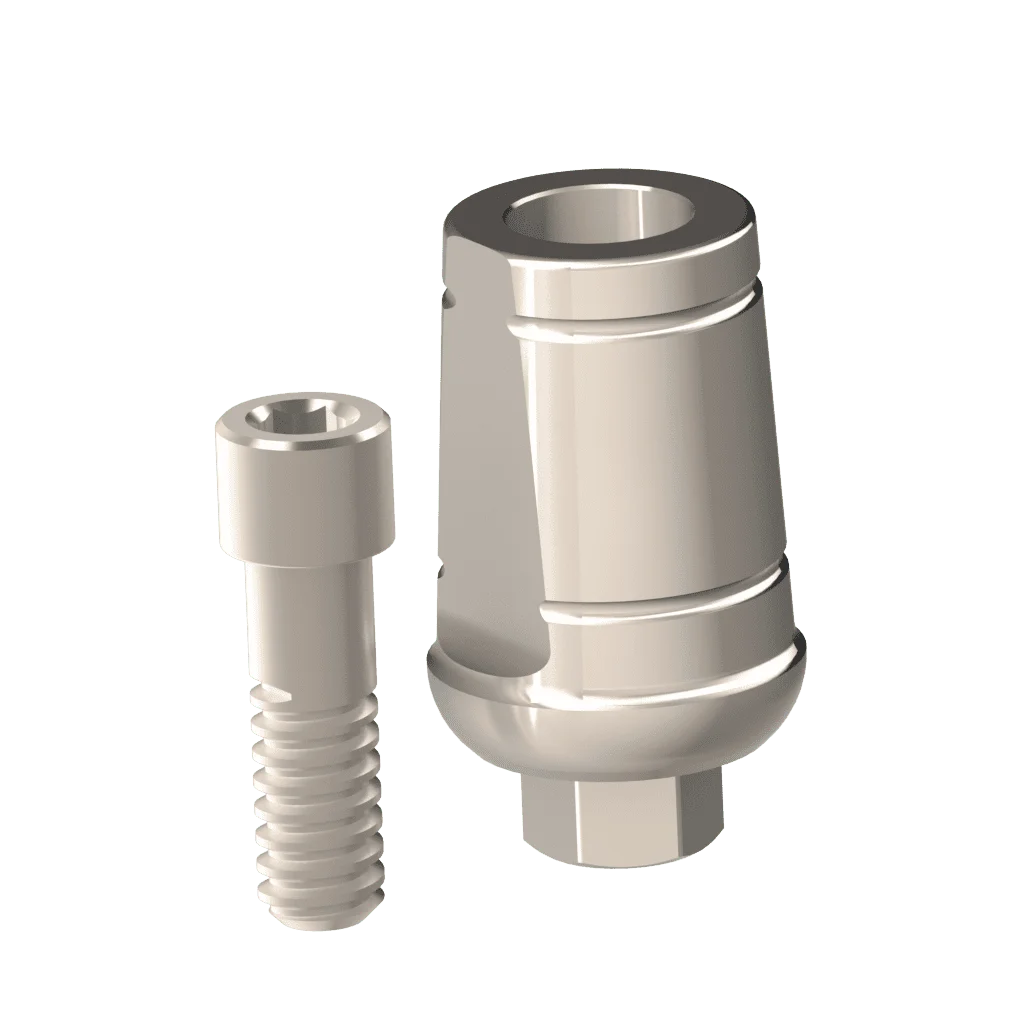 Abutment (ZMB)