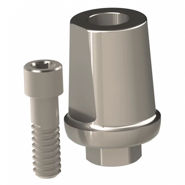 Abutment (ZMB) - Image 4