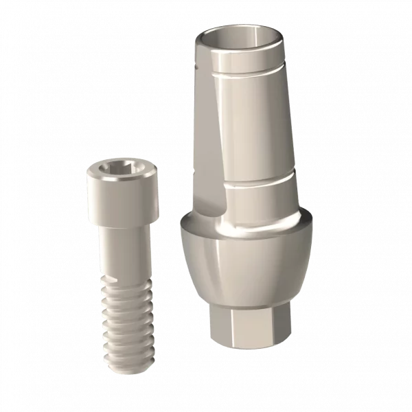 Abutment (ZMB) - Image 5
