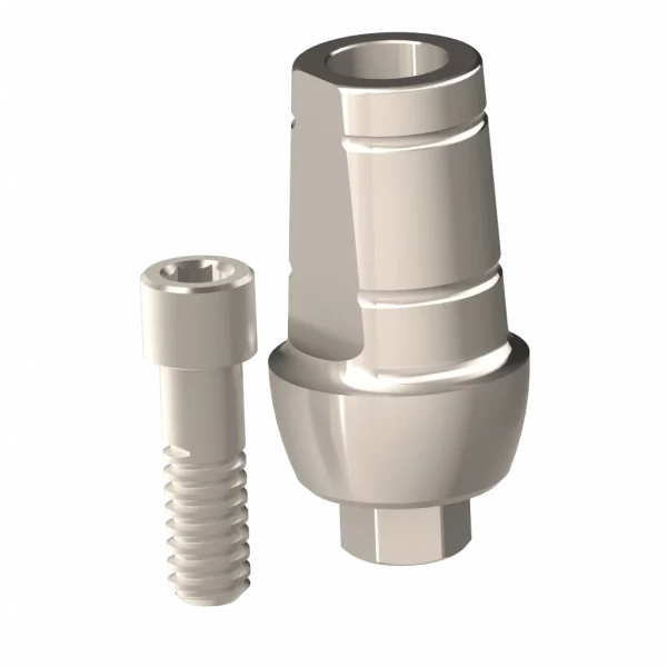 Abutment (ZMB) - Image 6