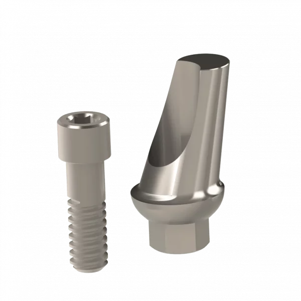 Abutment (ZMB) - Image 8
