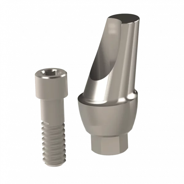 Abutment (ZMB) - Image 10