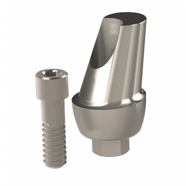 Abutment (ZMB) - Image 11
