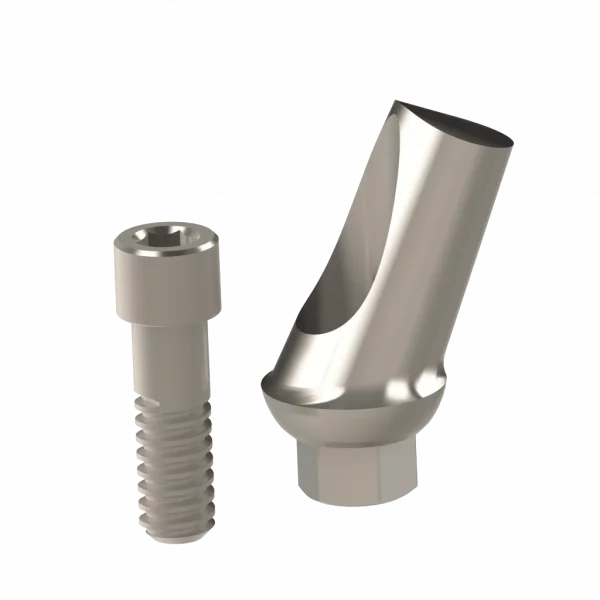 Abutment (ZMB) - Image 12