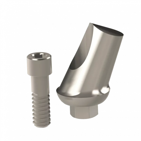 Abutment (ZMB) - Image 13