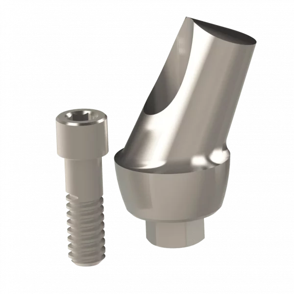 Abutment (ZMB) - Image 15