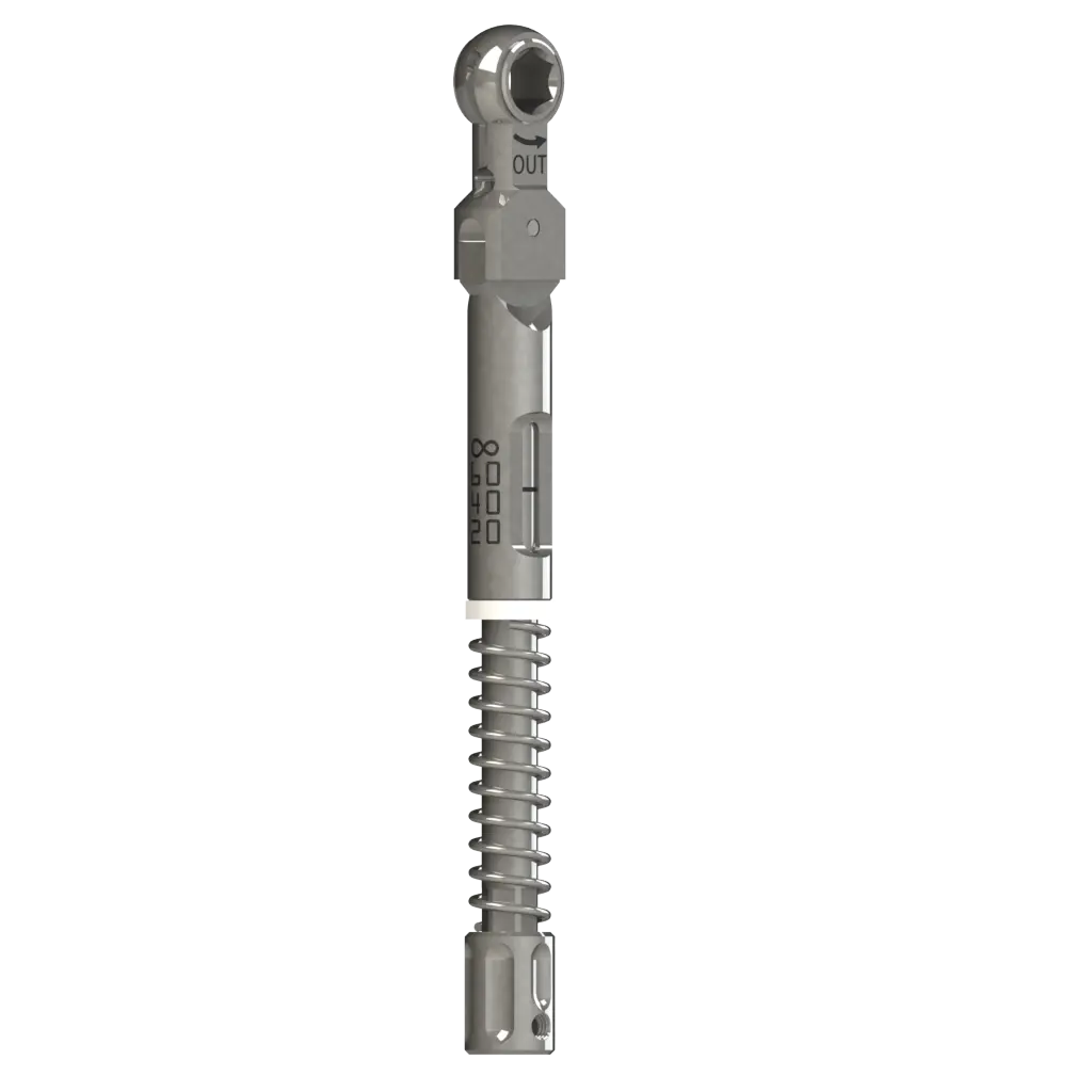 Drehmomentratsche (Instrument)